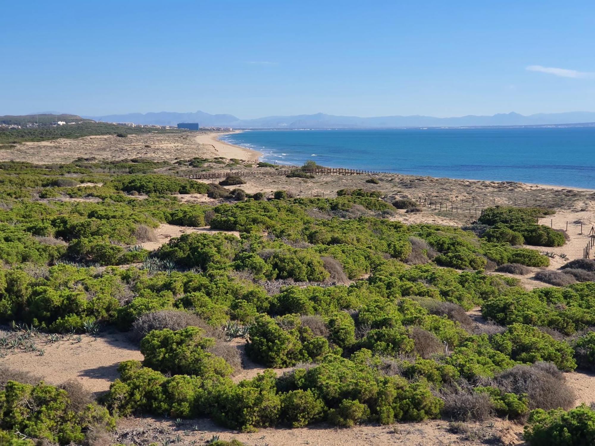 Al048 Pinada Beach IV La Mata La Mata  Eksteriør bilde